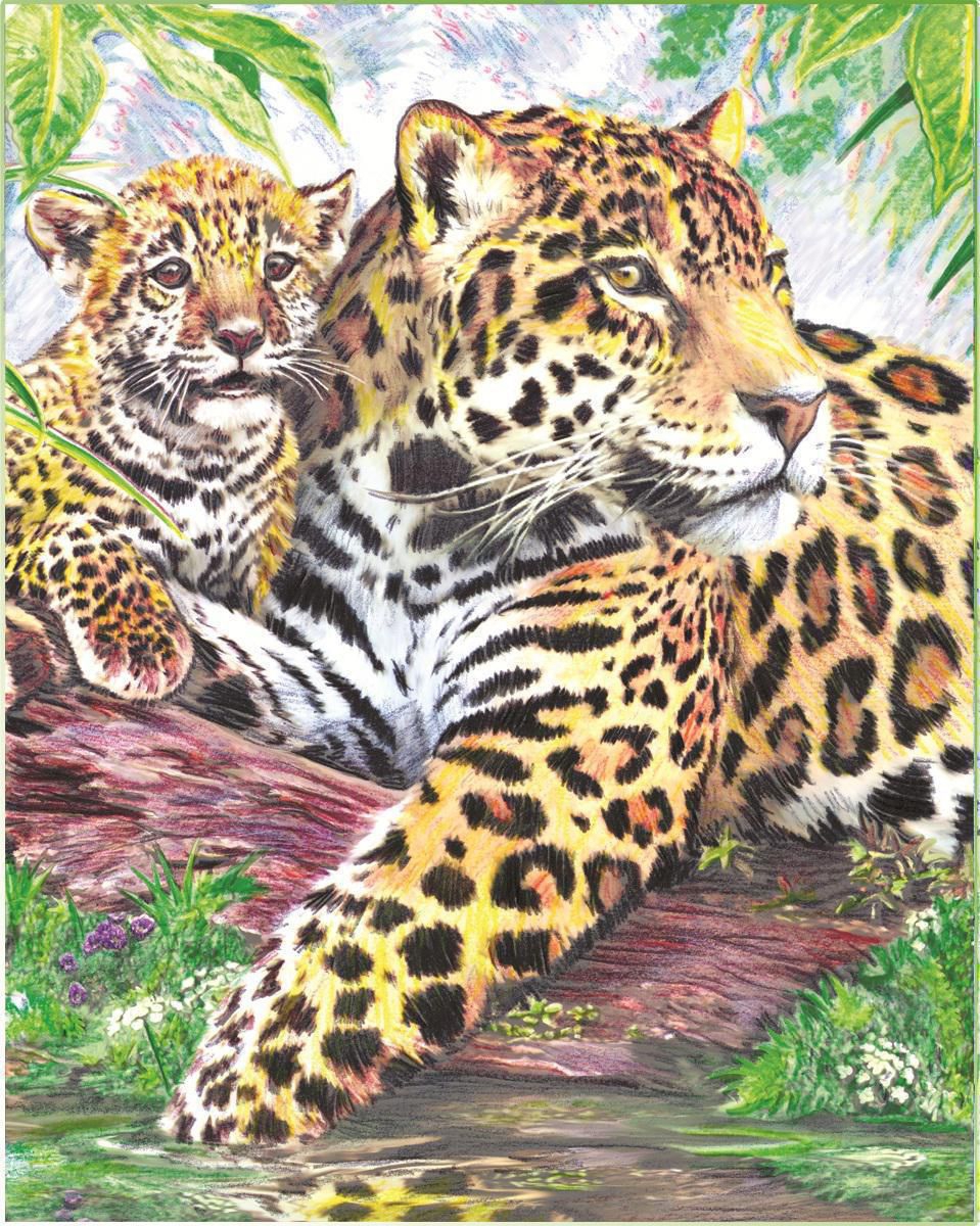 malen nach zahlen mit buntstifte jaguare am wasser  mit